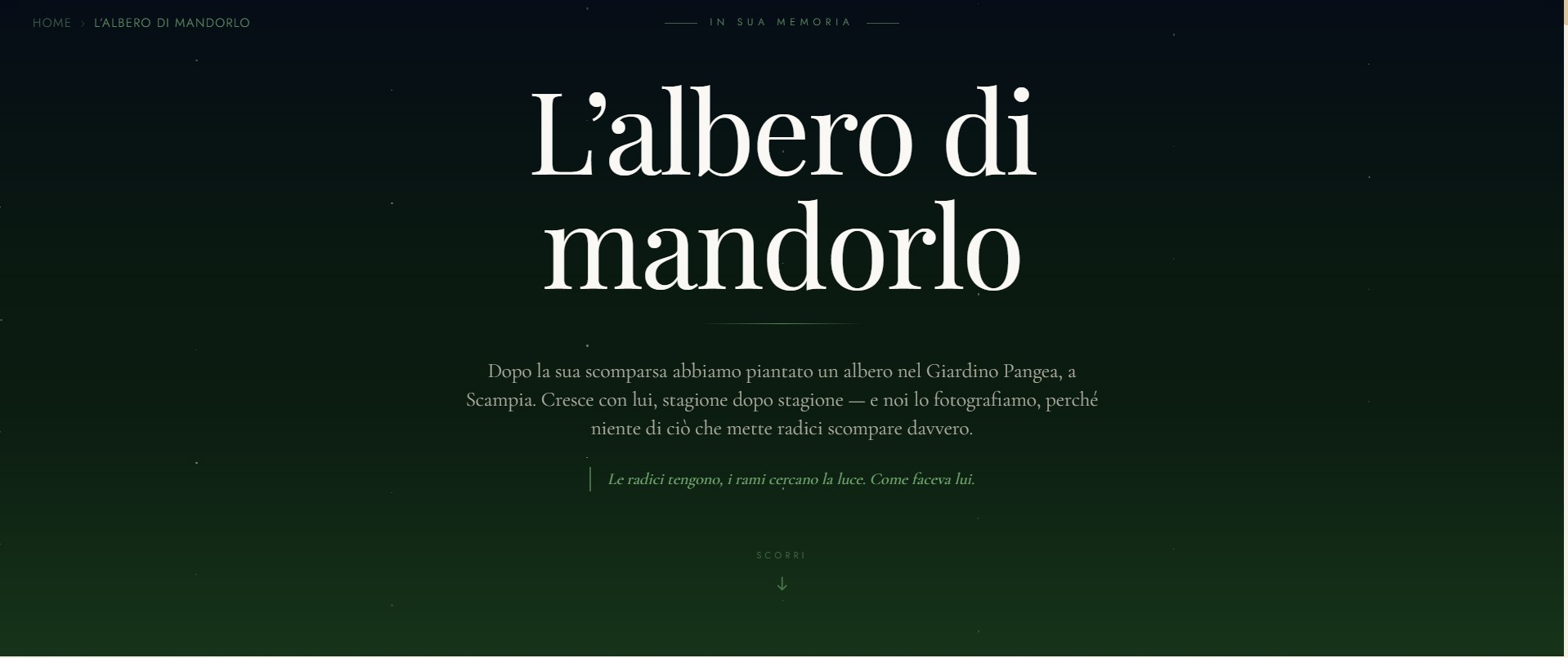 Emanuele Capissi — Sito Memoriale — dettaglio 2